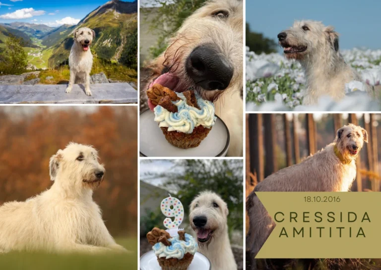 Berry slaví 9.narozeniny